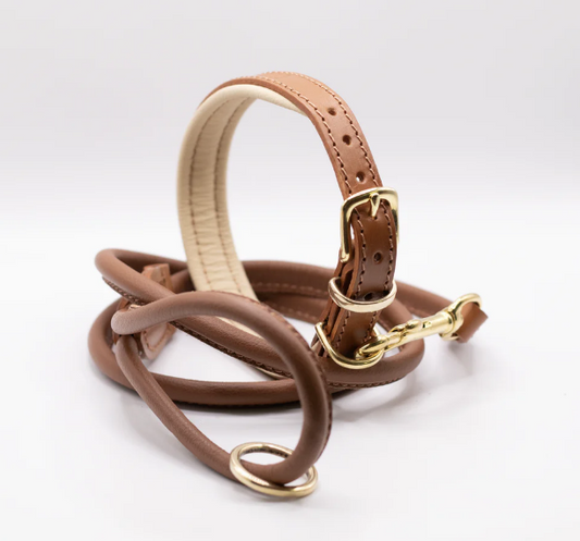 Don't be fooled. The 3 questions for 'luxury' leather dog collar