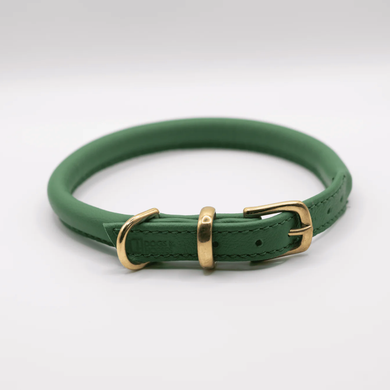 rolled soft leather dog collar Clover green, brass fittings