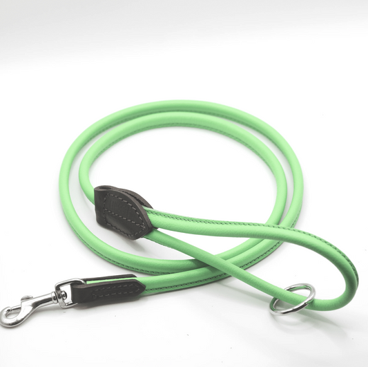 OUTLET: Rolled Soft Leather Dog Lead Spring Bud Green