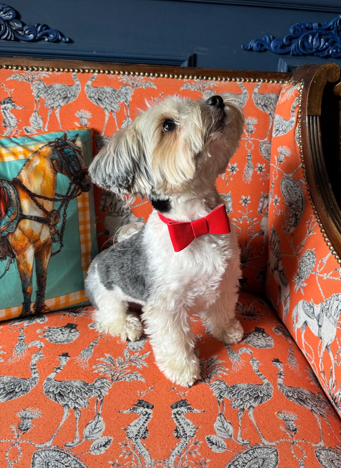 Soft Leather Dog Bow Tie