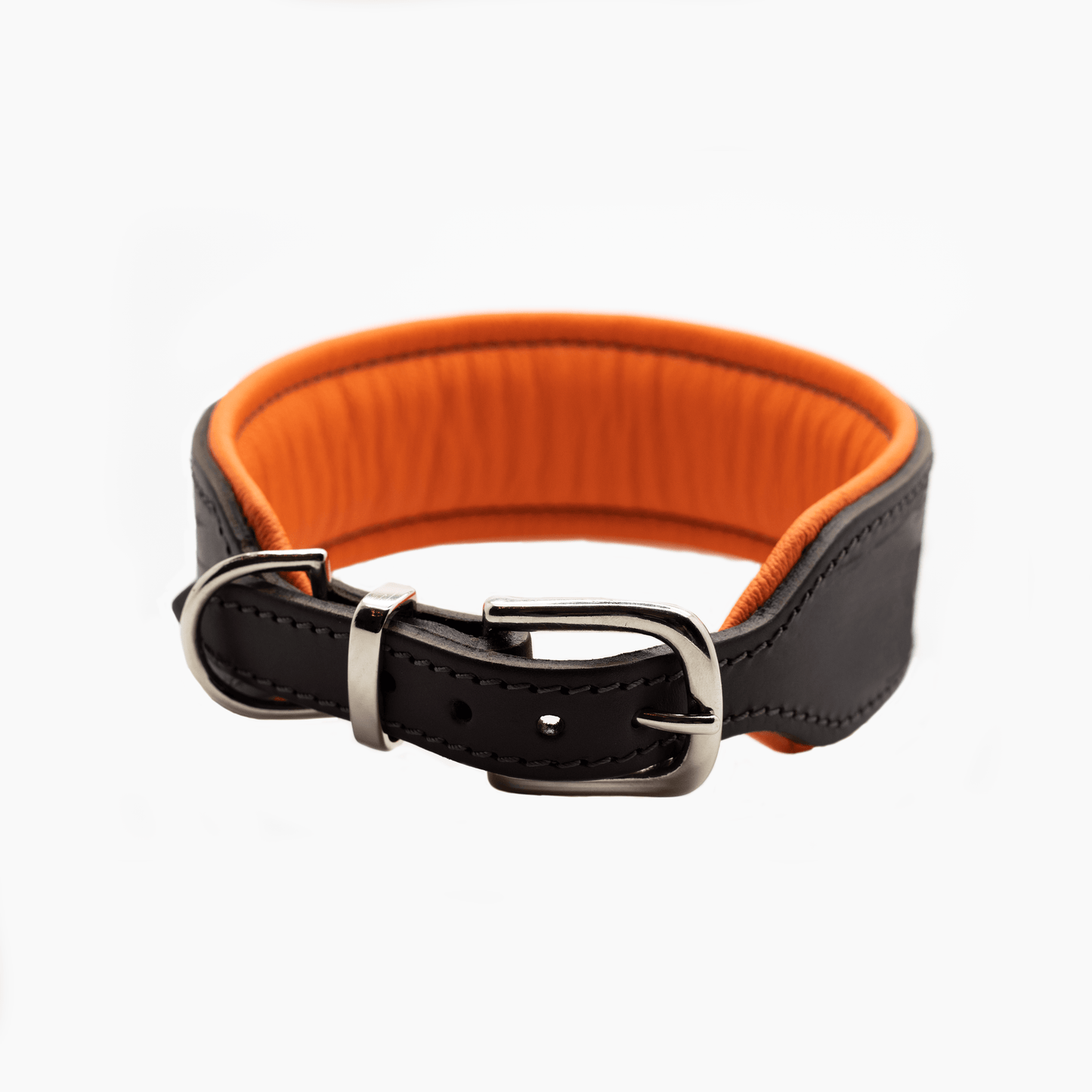 D&H Big Dog Padded leather dog Collar