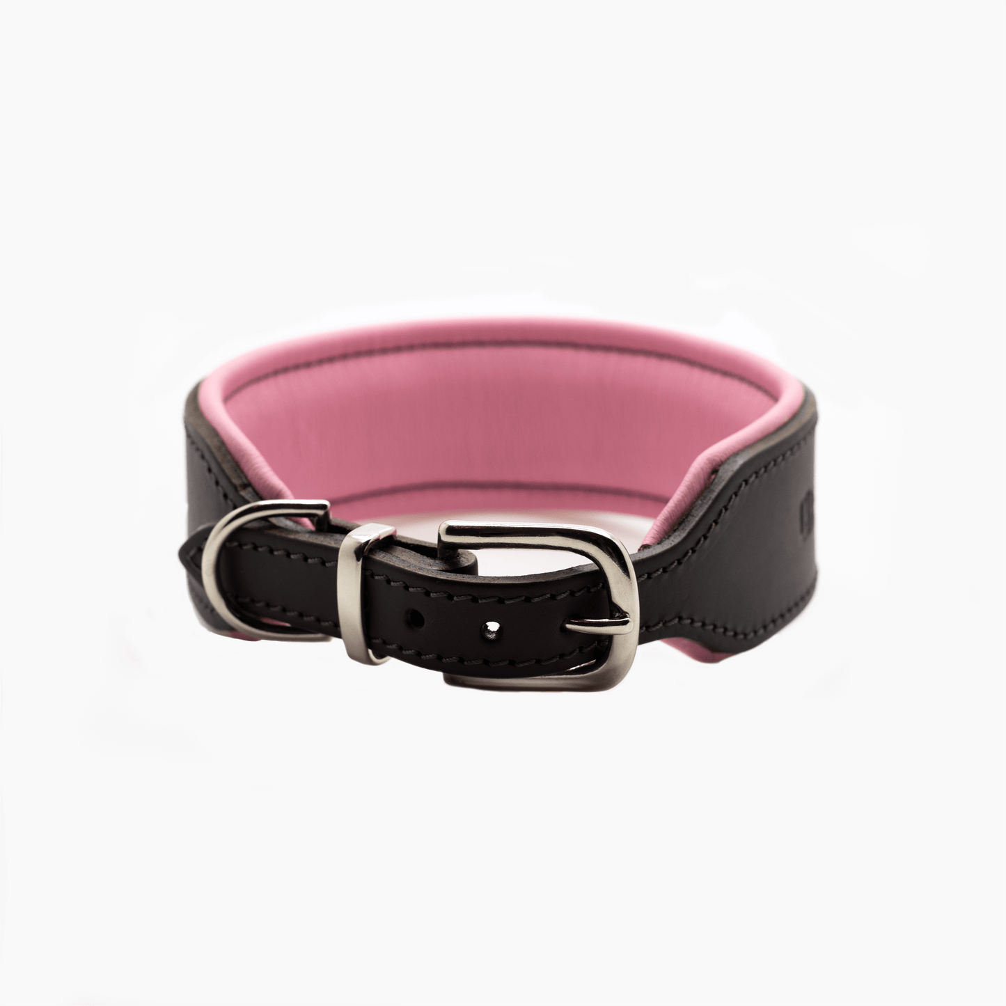 D&H Big Dog Padded leather dog Collar