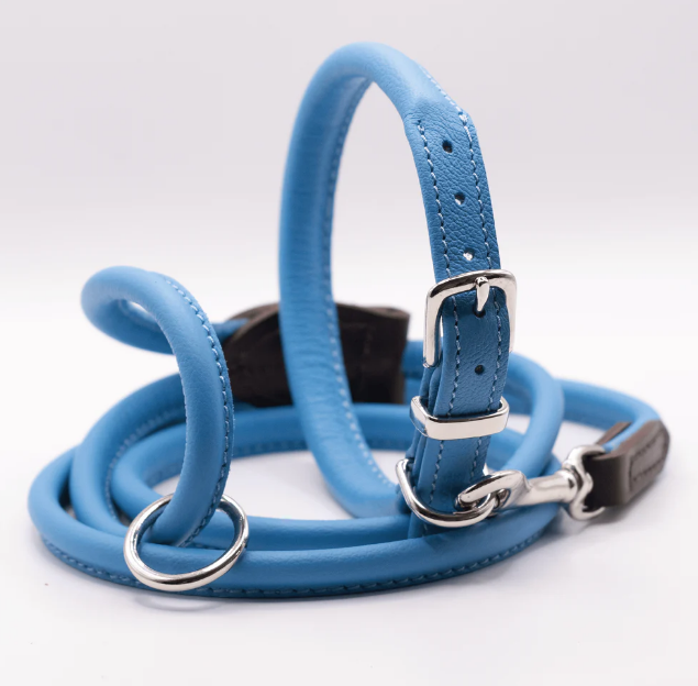 Matching leash top and collar sets