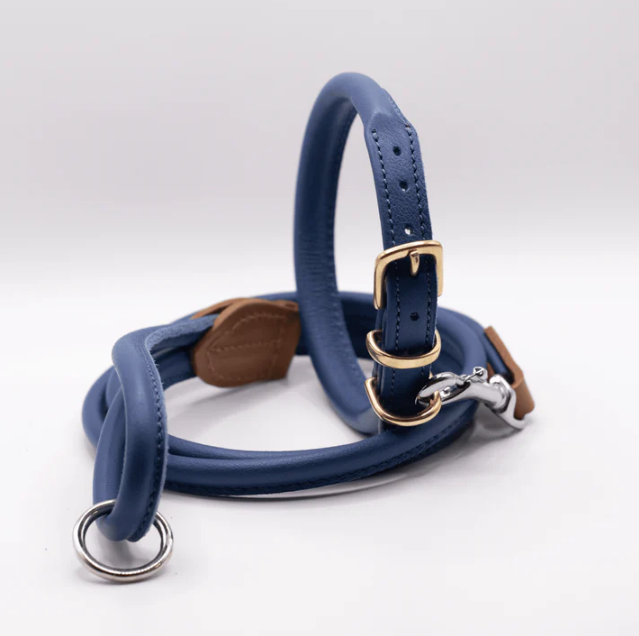 Matching dog collar sales and lead set