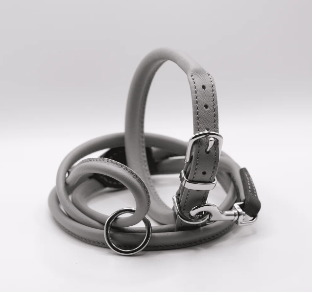 Grey dog 2025 collar and lead