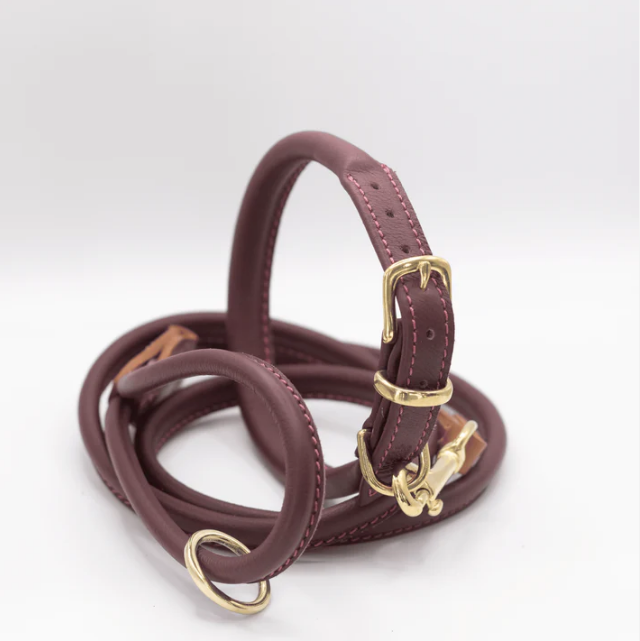 Leather dog collar and lead set best sale