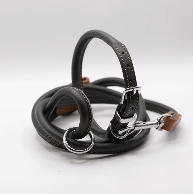 Rolled Soft Leather Dog Collar and Lead Set Racing Green