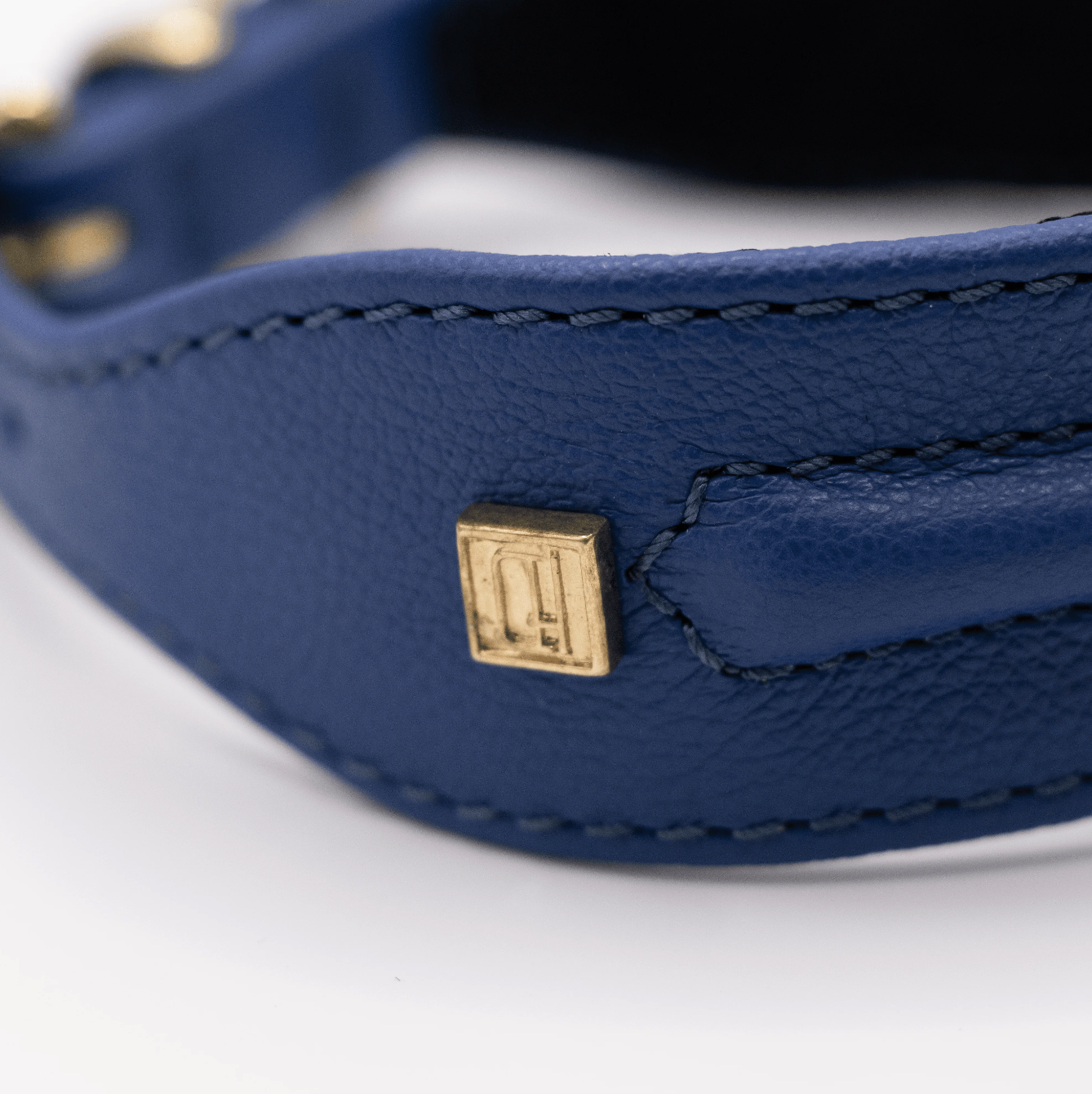 D&H Horizon Hound Collar Electric Blue