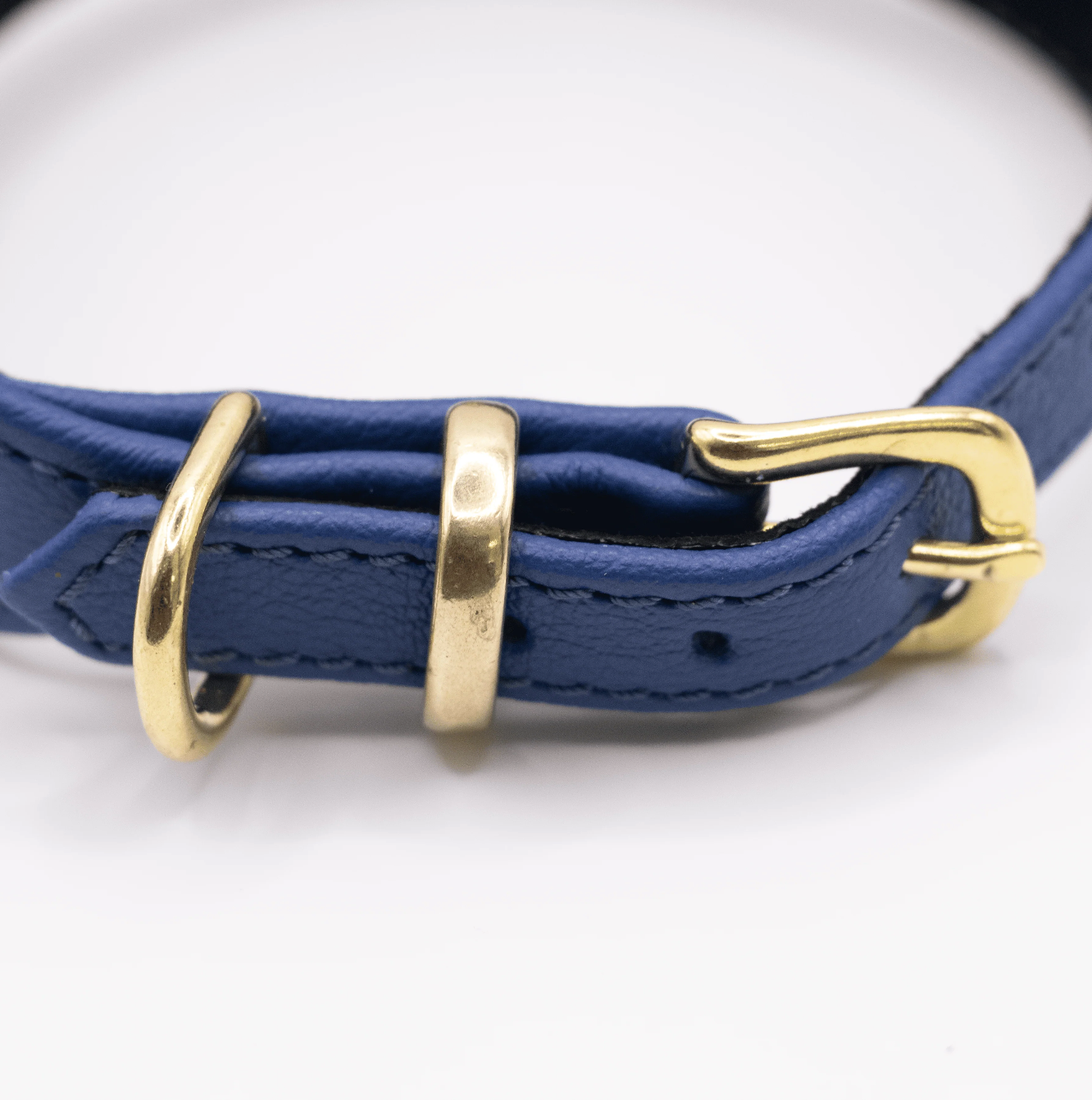 D&H Horizon Hound Collar Electric Blue