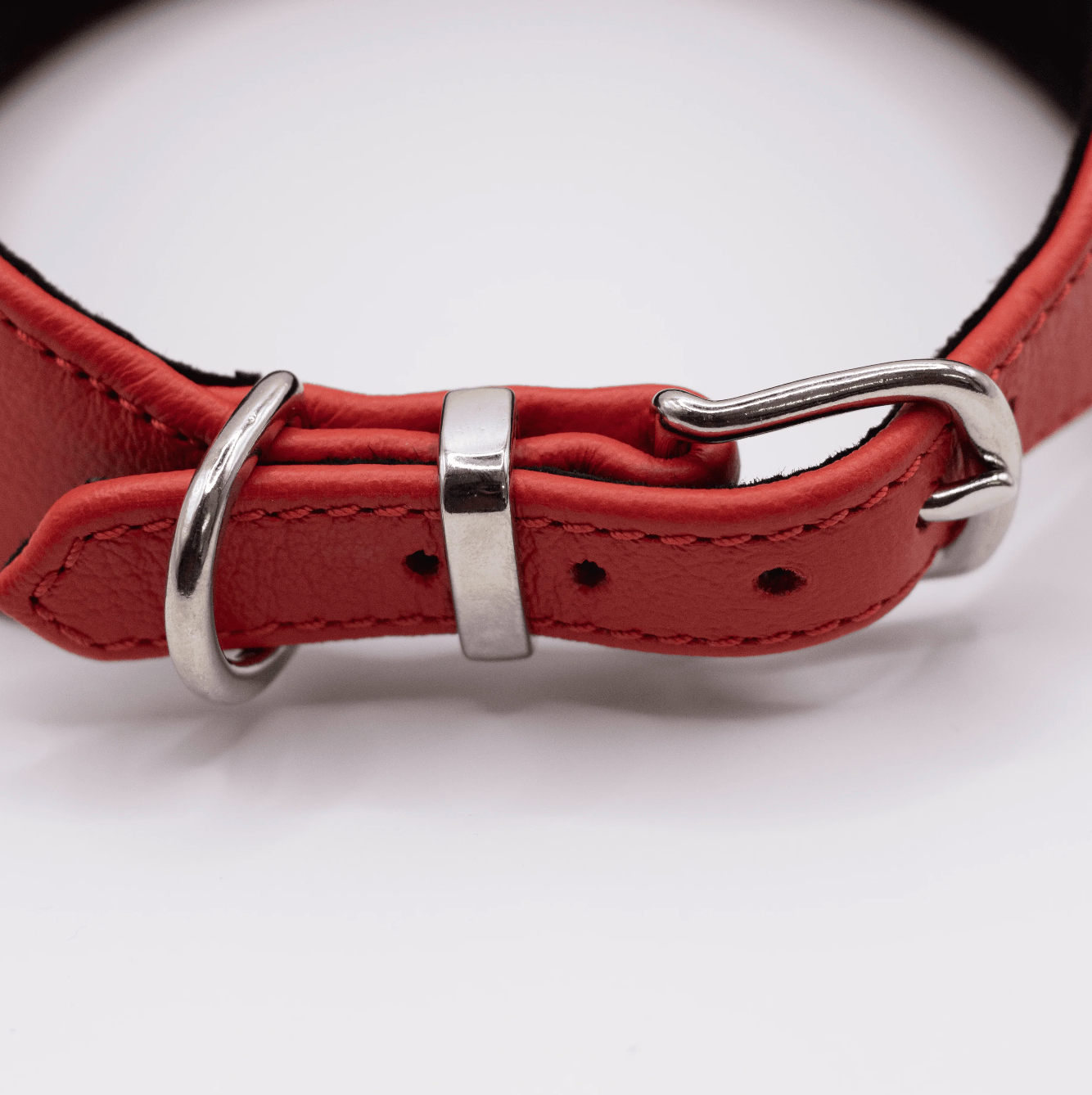 D&H Horizon Hound Collar Red