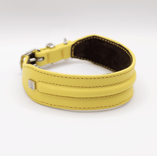 D&H Horizon Hound Collar Yellow