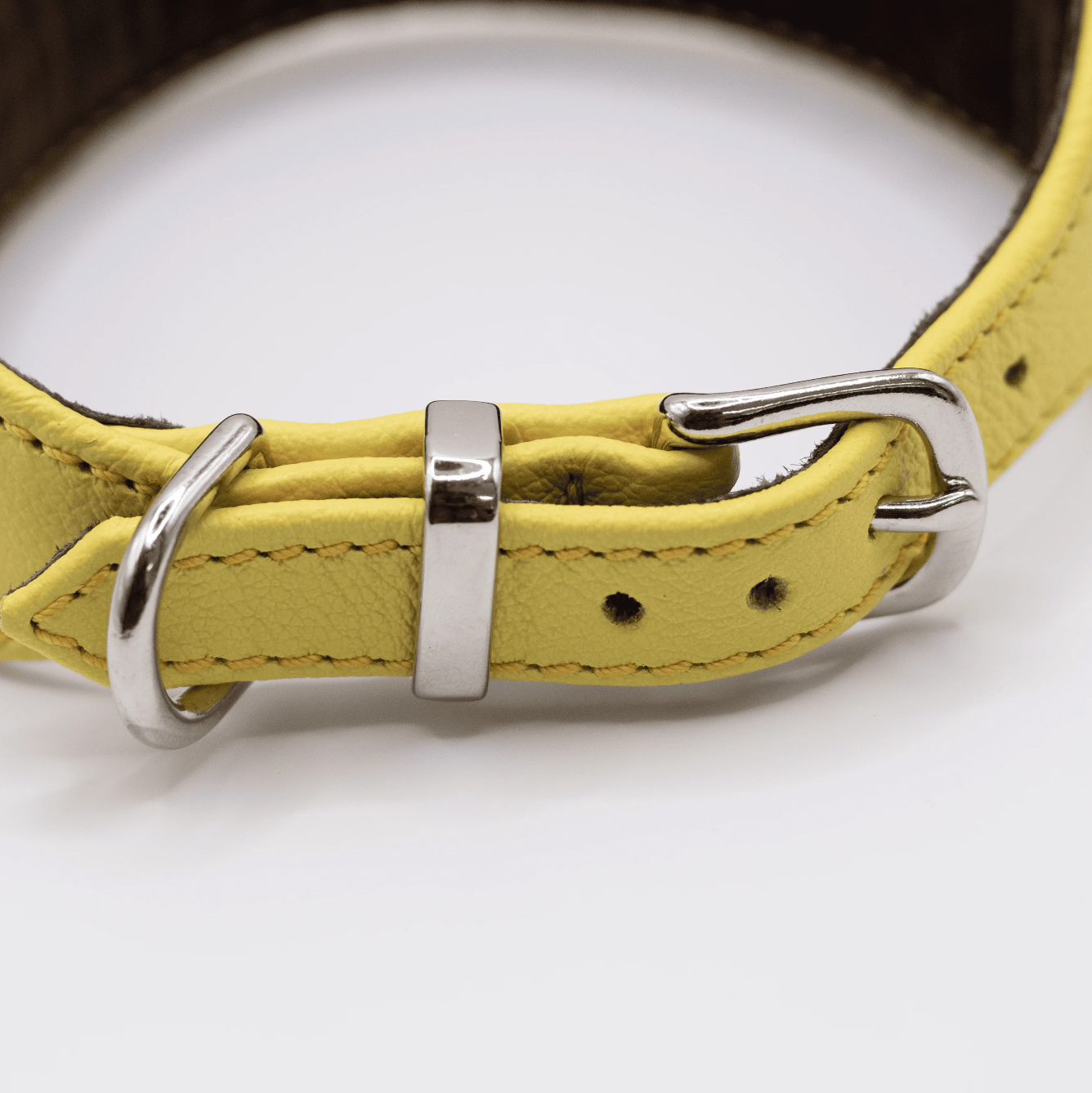 OUTLET: D&H Horizon Hound Collar Mustard Yellow