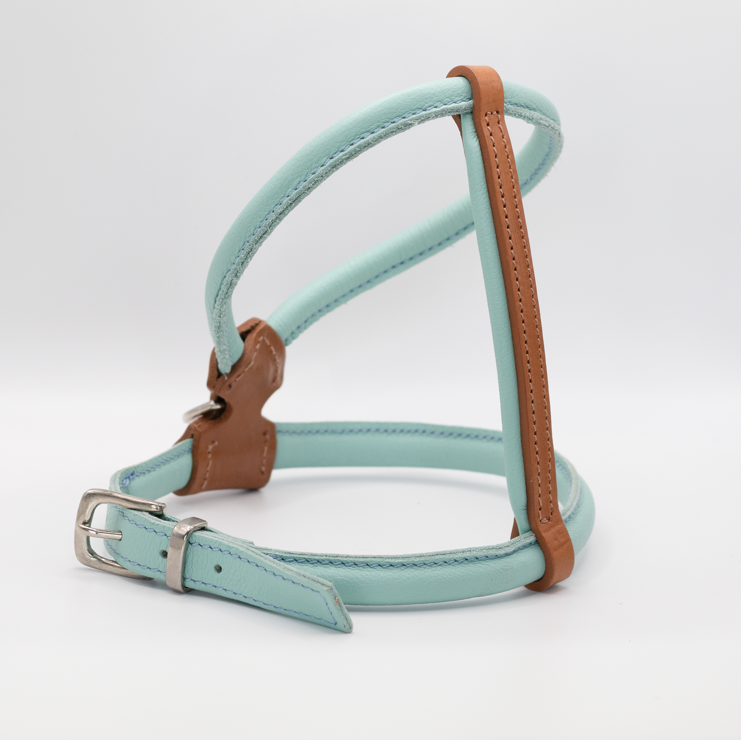 D&H Rolled Leather Dog Harness Aqua