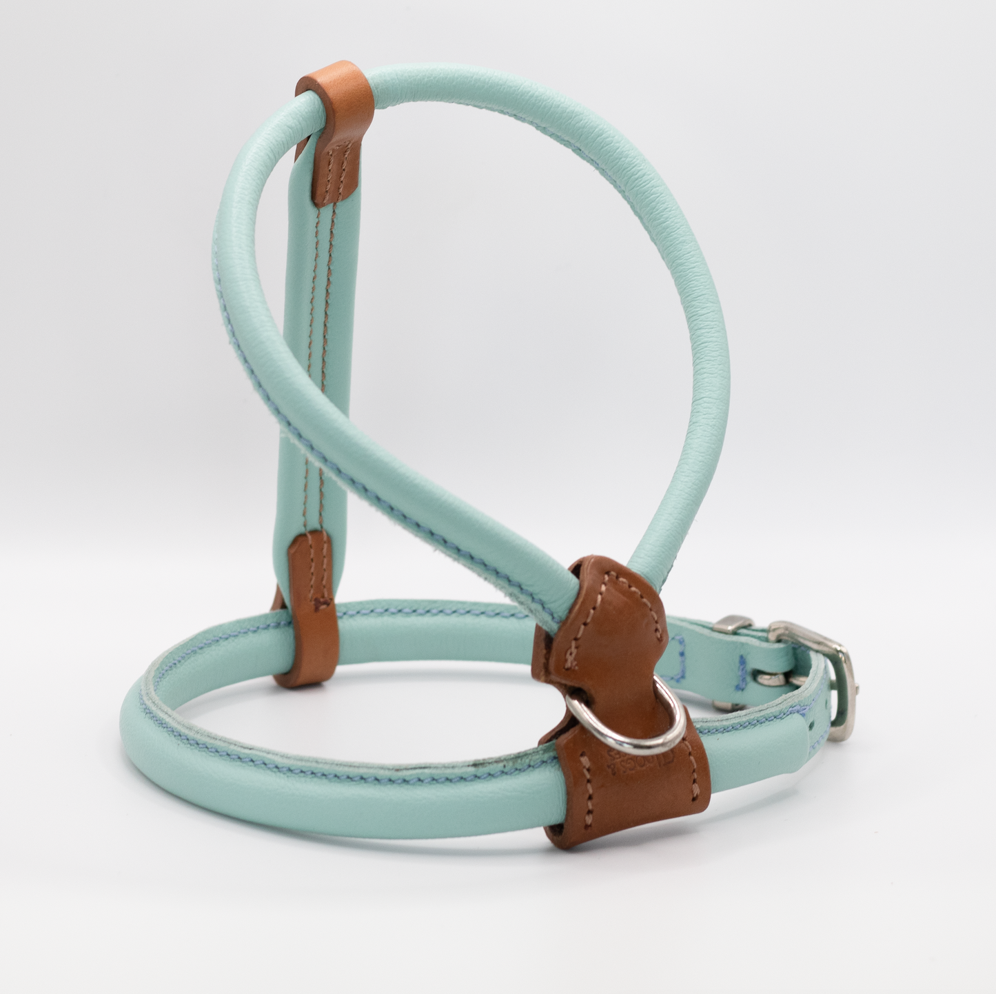 D&H Rolled Leather Dog Harness Aqua