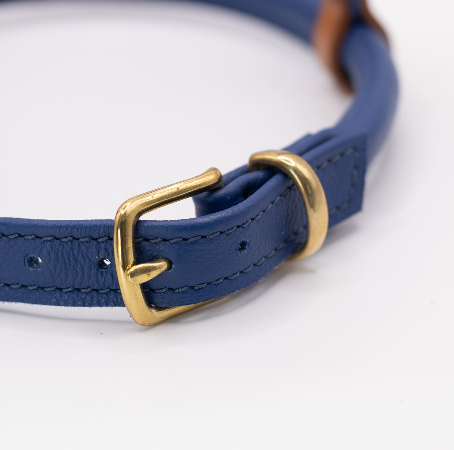 D&H Rolled Leather Dog Harness Electric Blue