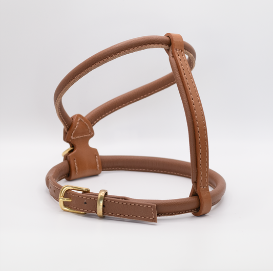 D&H Rolled Leather Dog Harness Tan