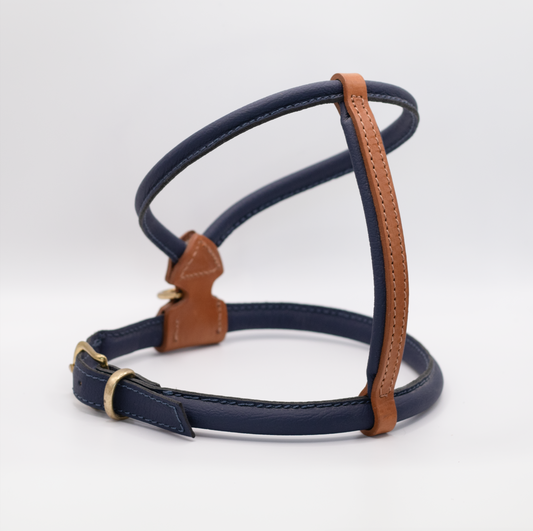 D&H Rolled Leather Dog Harness Navy