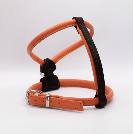 D&H Rolled Leather Dog Harness Orange