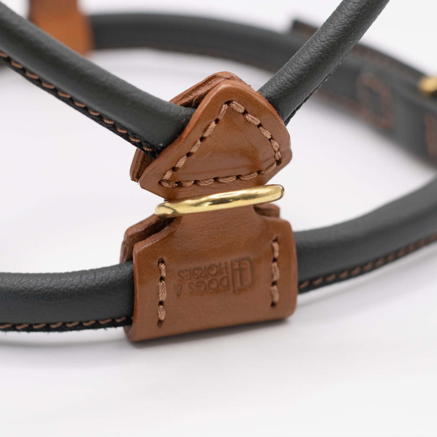 D&H Rolled Leather Dog Harness Racing Green