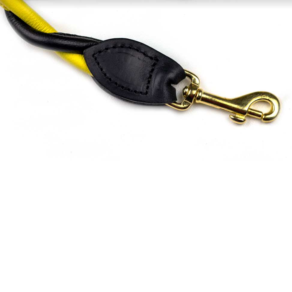 D&H Double Twist double Dog Lead