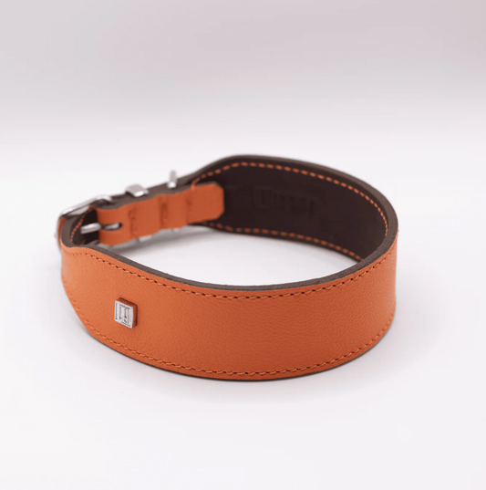 Flat and Wider Soft Leather Dog Collar Orange