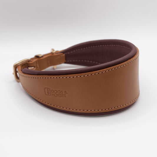D&H Padded Leather Hound Collar Tan and Merlot