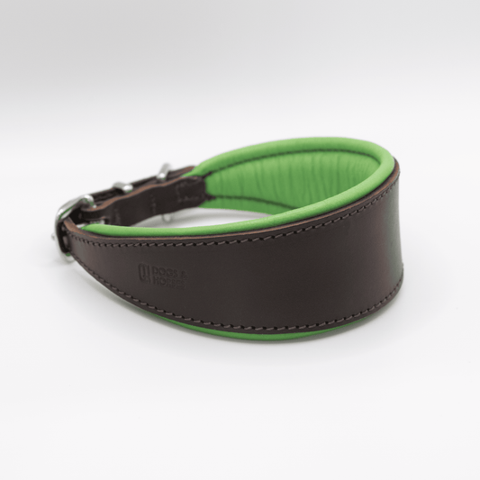 D&H Padded Leather Hound Collar Brown and Bright Green
