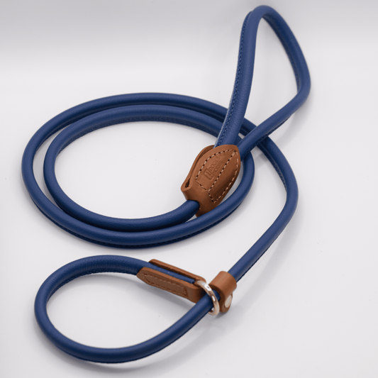 D&H Rolled Soft Leather Slip Lead Electric Blue