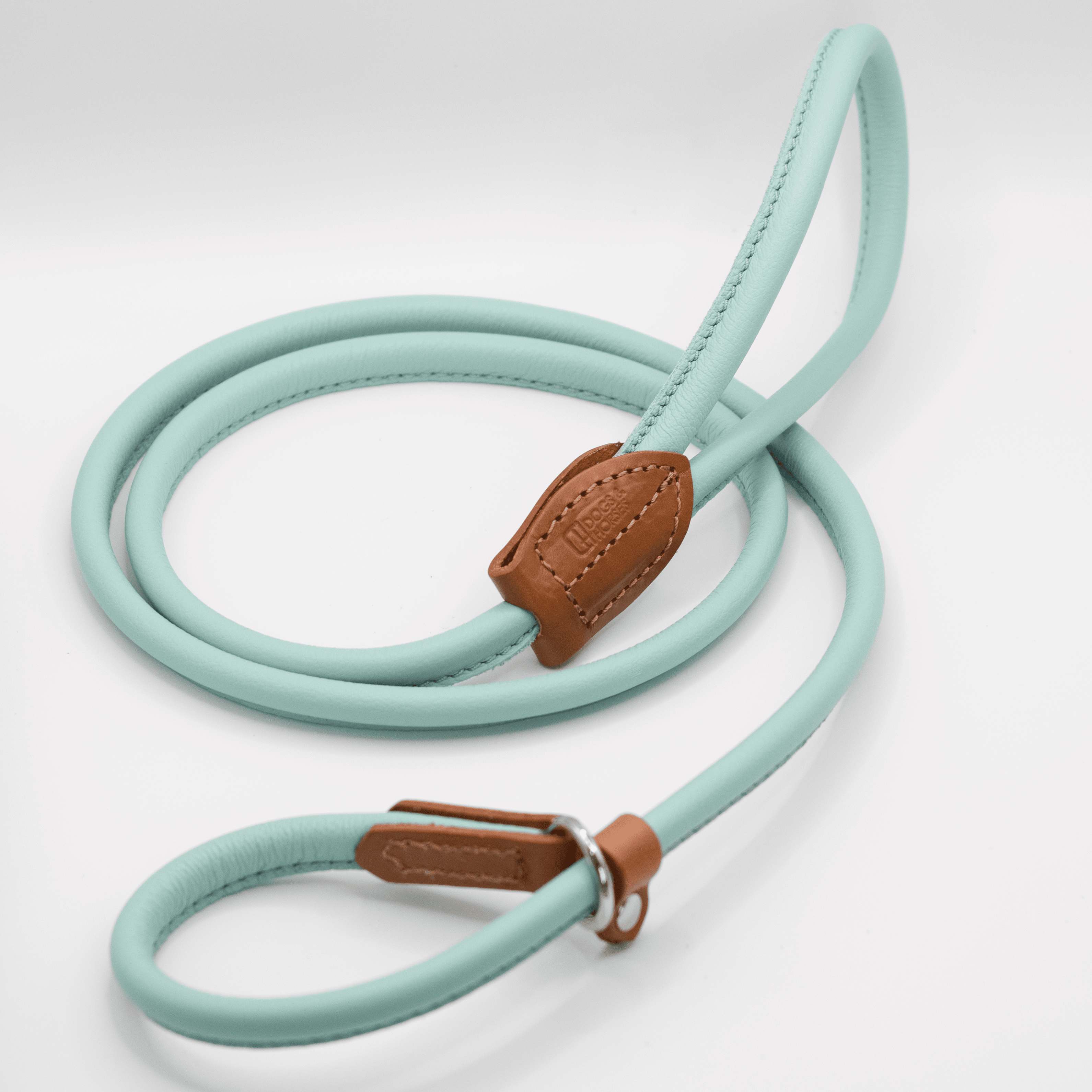 D H Rolled Soft Leather Slip Lead Aqua