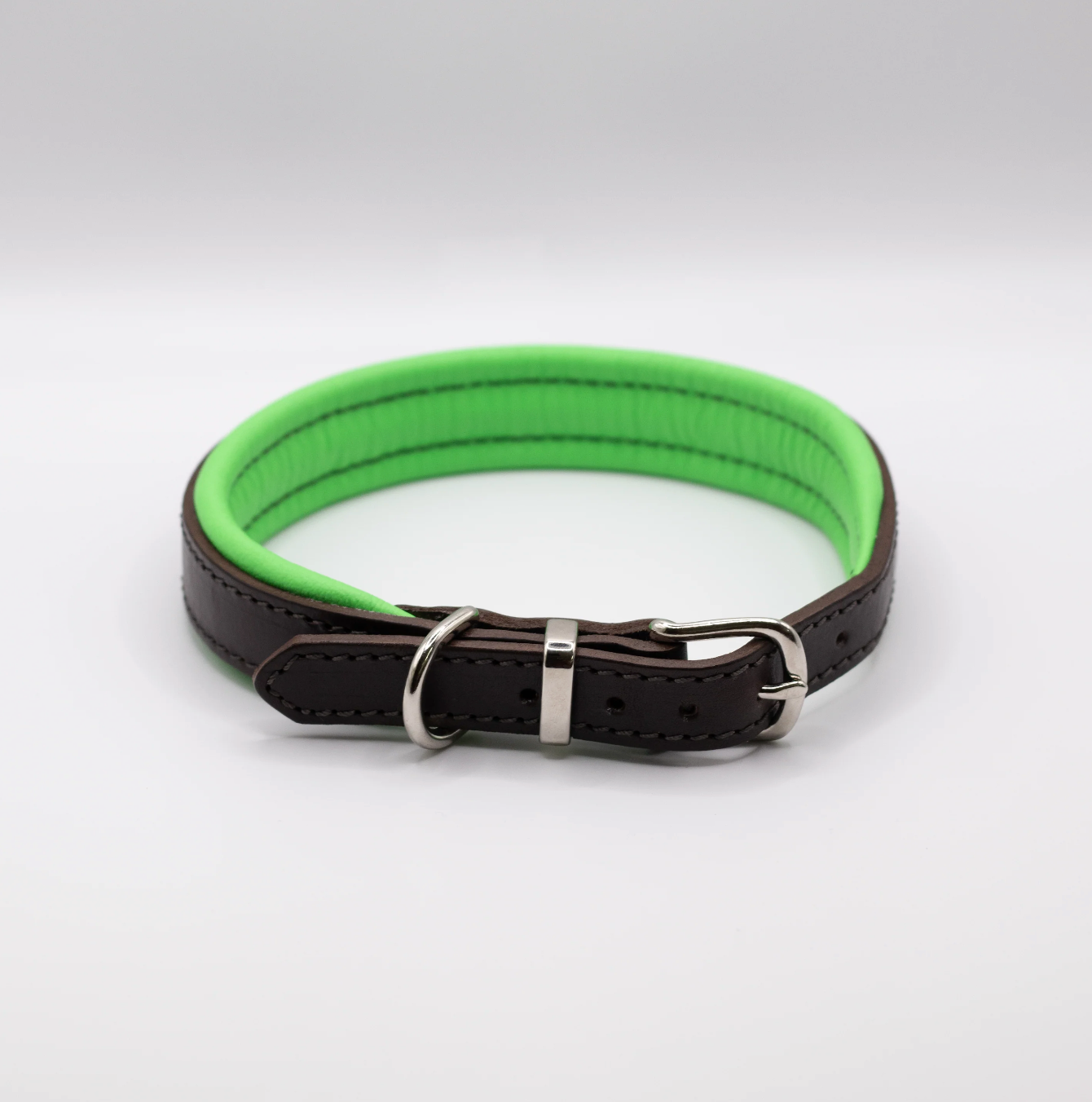 Best dog collar clearance