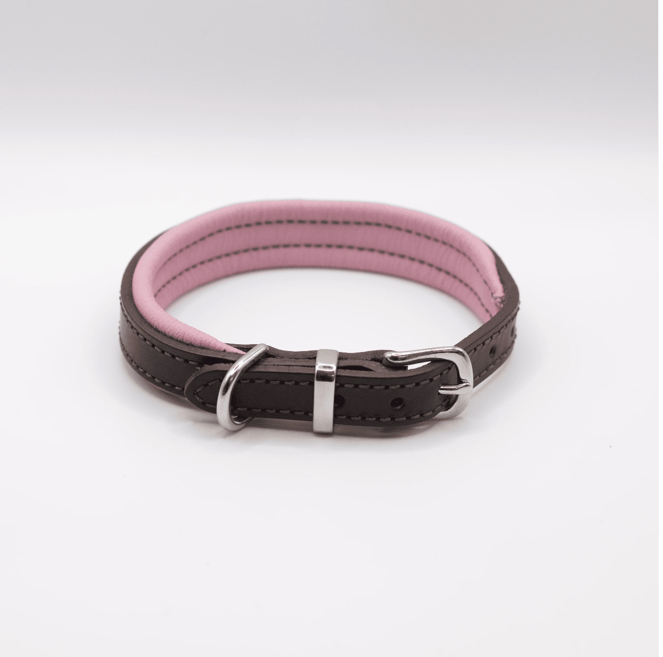 Handmade in Britain award winning padded leather dog collar