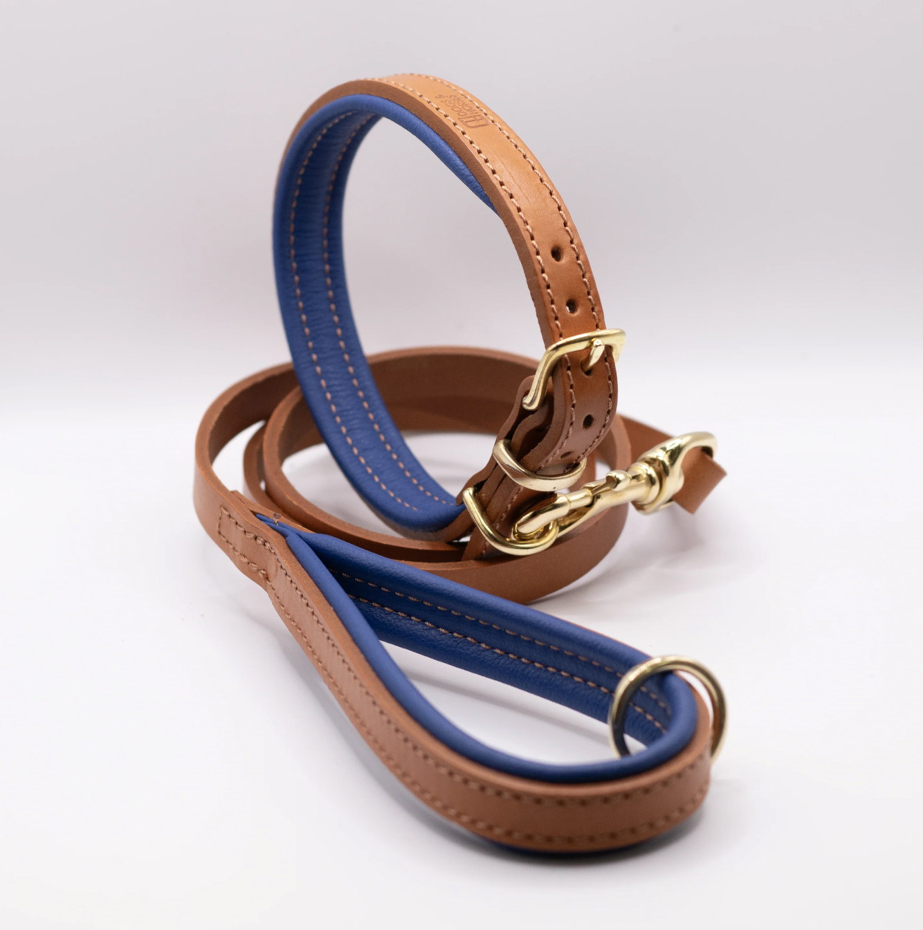 Padded Leather Dog Collar and Lead Set Tan and Electric Blue