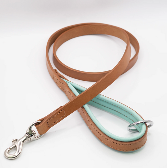 Padded Leather Dog Lead Tan and Aqua