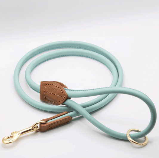 Rolled Soft Leather Dog Lead Aqua