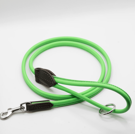 Rolled Soft Leather Dog Lead Green