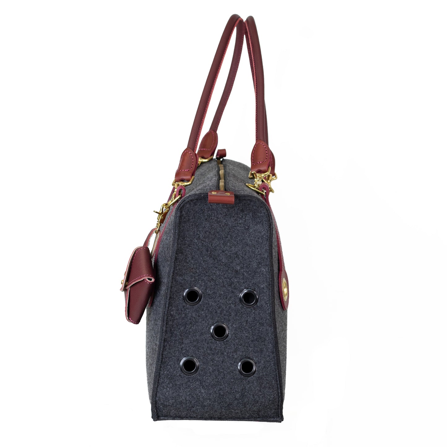 The Standard Dog Carrier