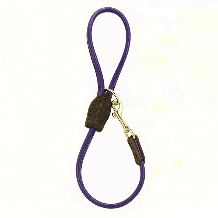 Big Dog Short Rolled Leather Lead