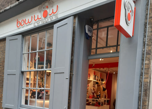 Covent Garden's dog shop and salon: Bow Wow London