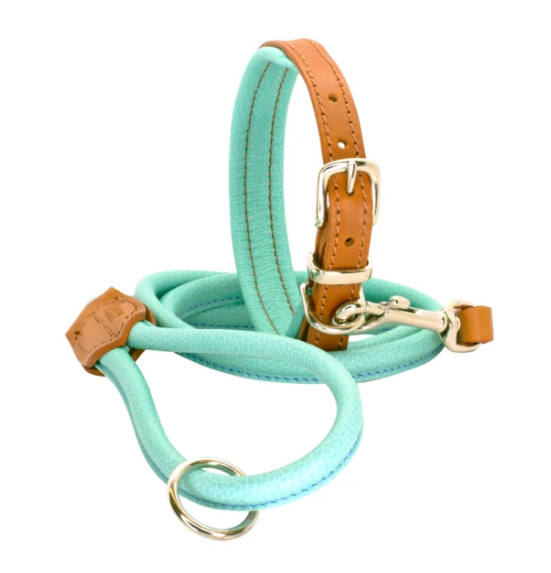 award-winning padded leather dog collar