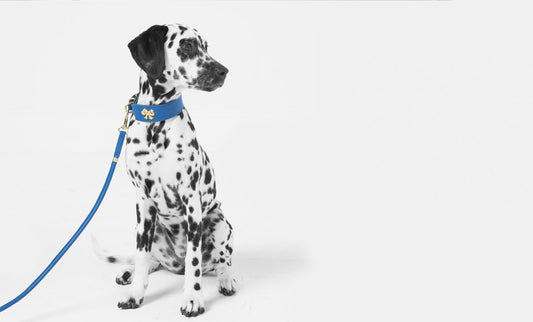 Handmade in London. For You and Your Dog