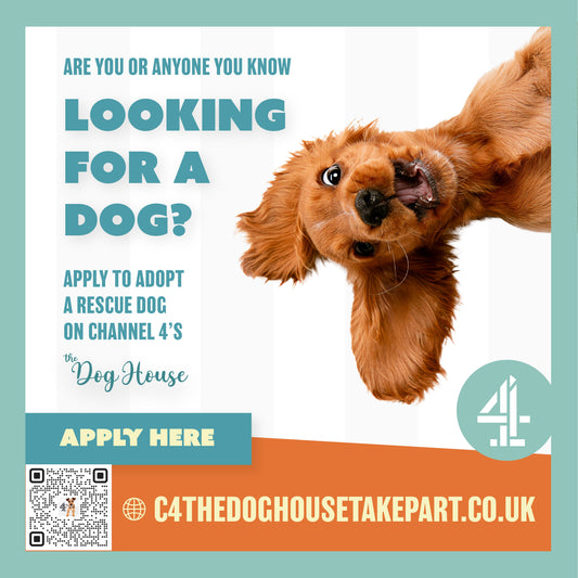 Thinking of Adopting? This will intrigue..