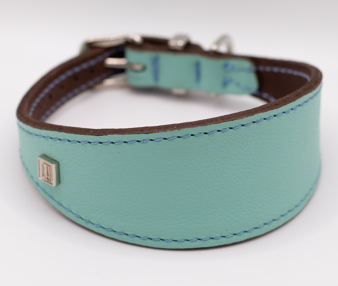Whippet Good. Our new soft leather Hound collar