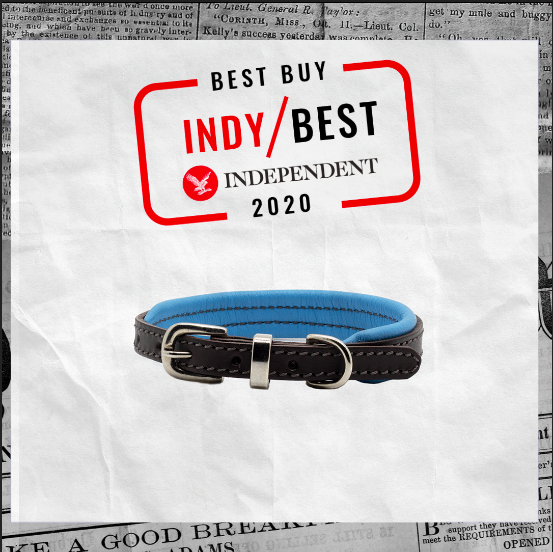 D&H awarded The Independent 'Indy Best Buy 2020'