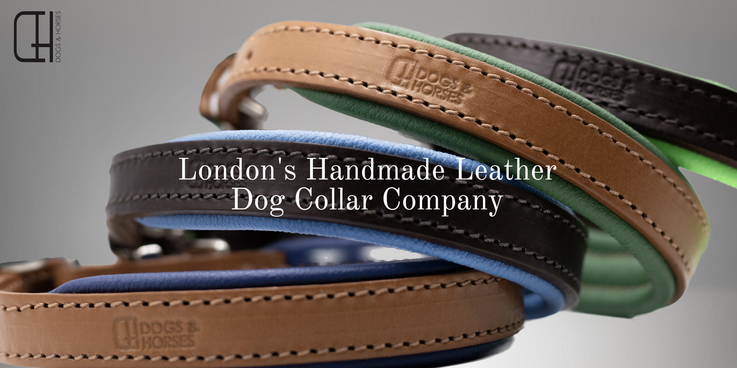 Luxury leather on sale dog collars
