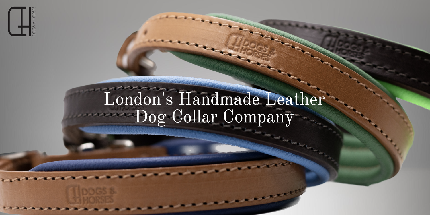 Leather dog collar , Dog collar handmade , Luxury leather dog collar