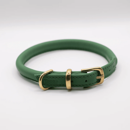 rolled soft leather dog collar Clover green, brass fittings