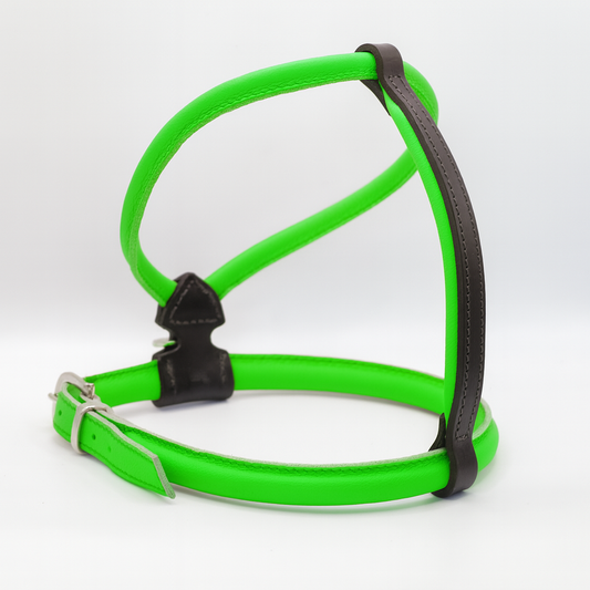 OUTLET: D&H Rolled Leather Dog Harness Bright Green