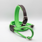 Padded Leather Dog Collar and Rolled Lead Set Green