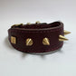 D&H Small but Mighty SPIKE Leather Collar