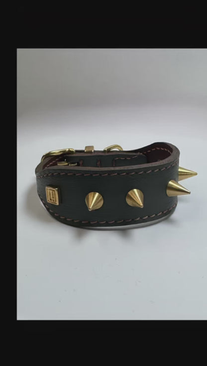 D&H Small but Mighty SPIKE Leather Collar